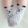 Cute Toddler Spring Baby Socks