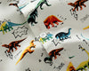 Spring Newborn Dinosaur Garment