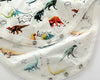 Spring Newborn Dinosaur Garment